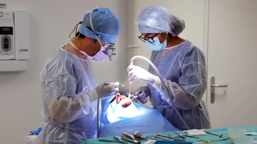 Suivi des contrats de complémentaire santé et prévoyance pour dirigeant